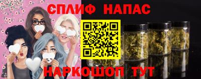 сатива Владикавказ