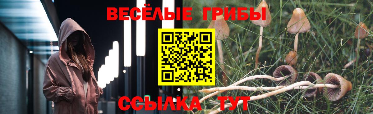 Галлюциногенные грибы Psilocybe Богородск