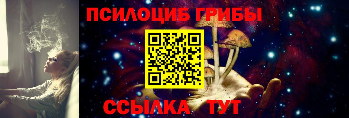 Галлюциногенные грибы Cubensis  купить   Вход с VPN  Богородск  Галлюциногенные грибы Magic Shrooms 